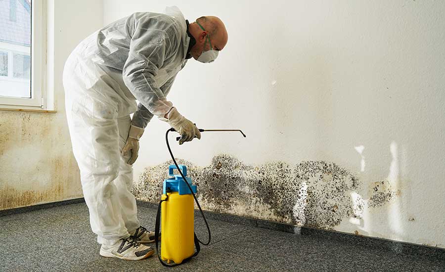 IICRC-certified mold remediation technician applying antimicrobial treatment with professional protective equipment in Anaheim