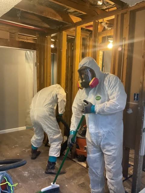 Mold-damaged drywall extracted during an insurance-covered mold remediation project in Anaheim